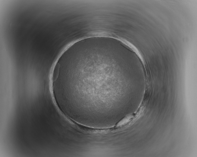 X0000103251389200809111606