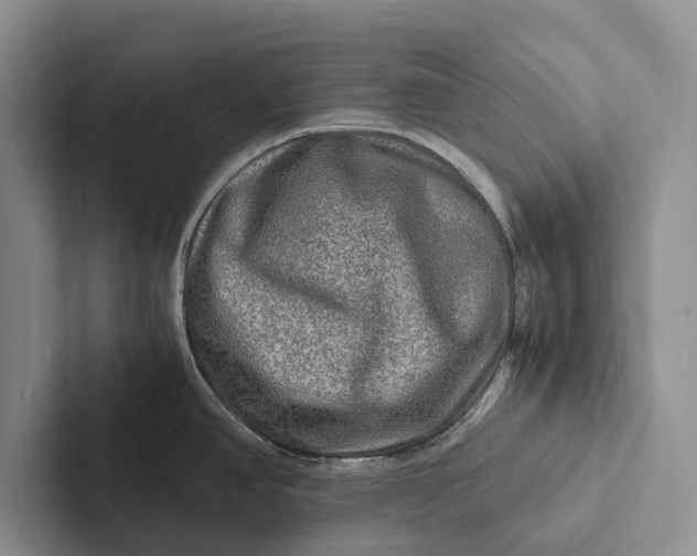 X0000103251390200809111606