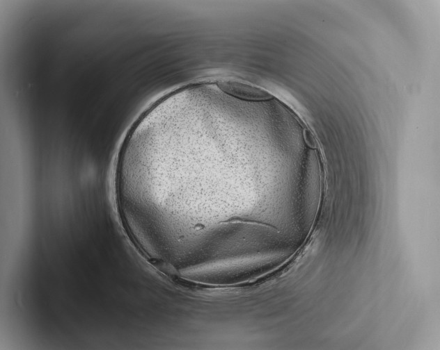 X0000103251392200809111606