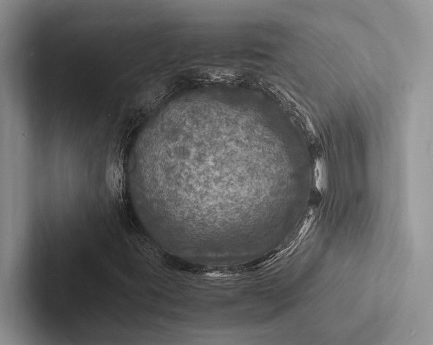 X0000103251395200809111605