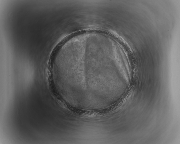 X0000103251400200809111605