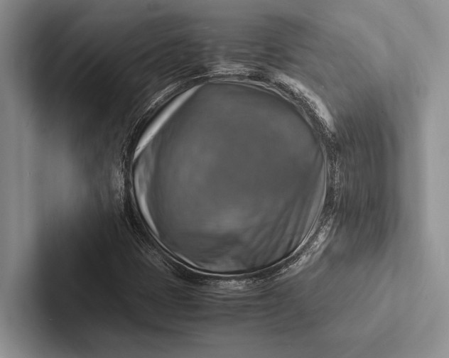 X0000103251401200809111605