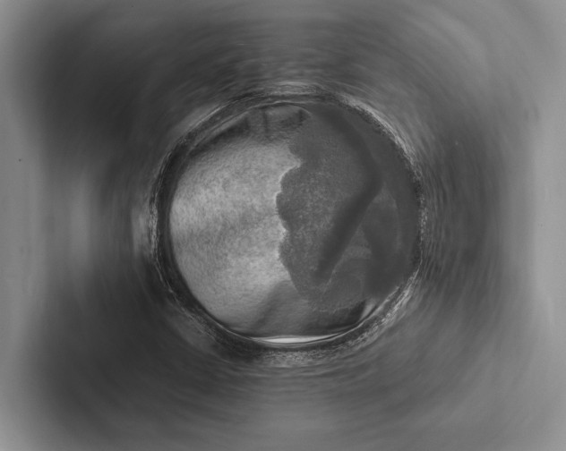 X0000103251402200809111605