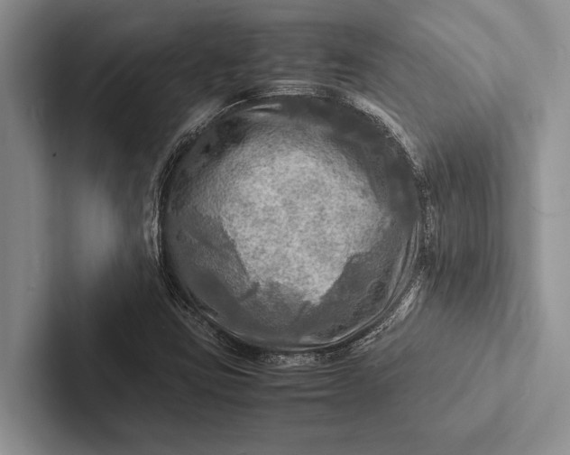 X0000103251403200809111605