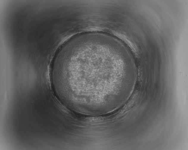 X0000103251404200809111605