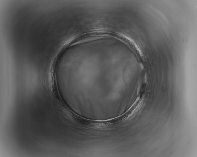 X0000103251405200809111605