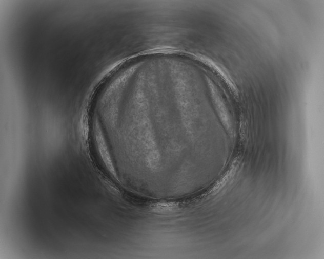 X0000103251406200809111605