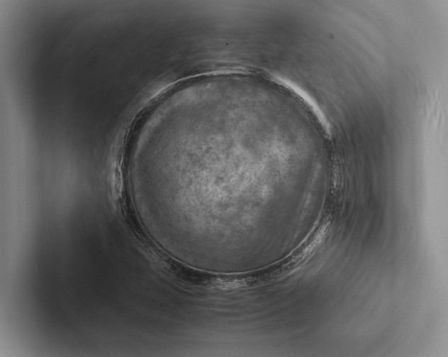 X0000103251407200809111605