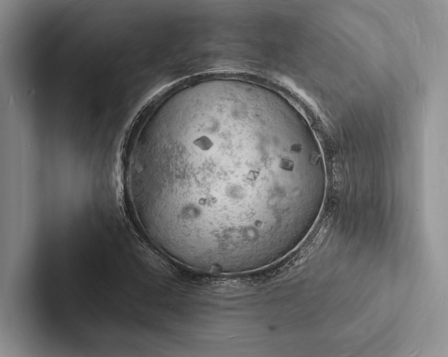 X0000103251408200809111605