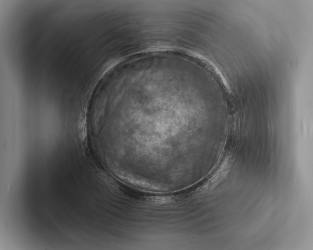 X0000103251409200809111606