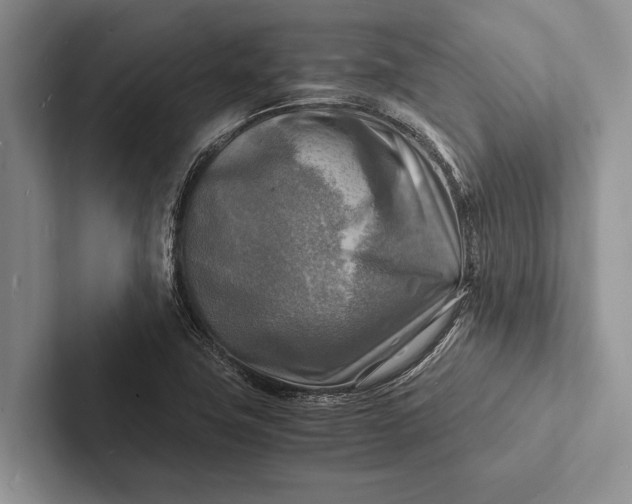 X0000103251411200809111606