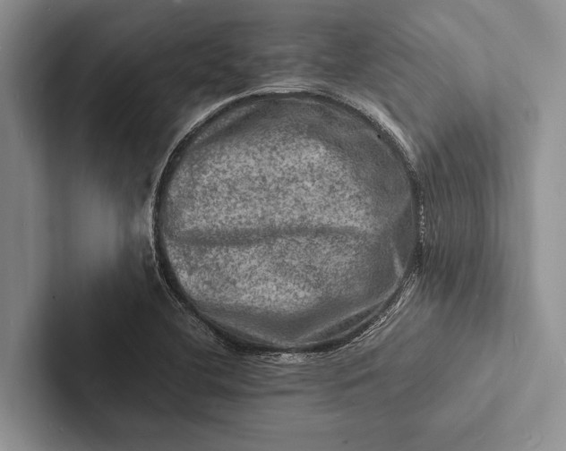 X0000103251412200809111606