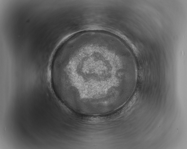 X0000103251416200809111606
