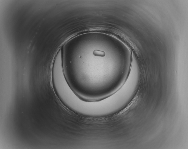 X0000103251417200809111606