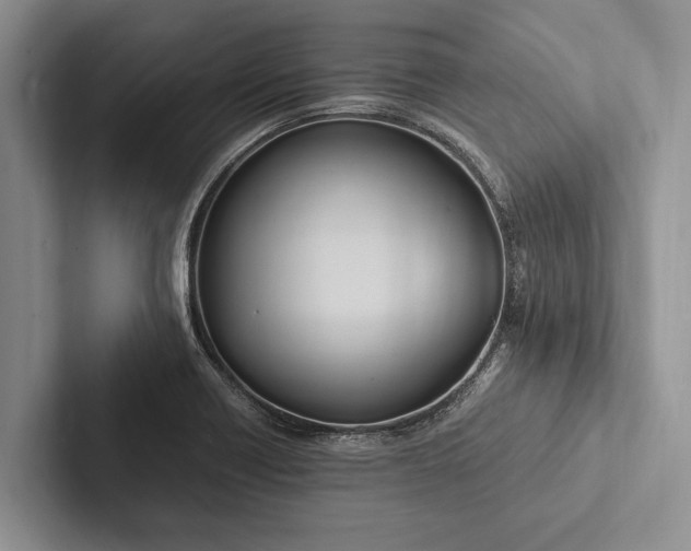 X0000103251418200809111606