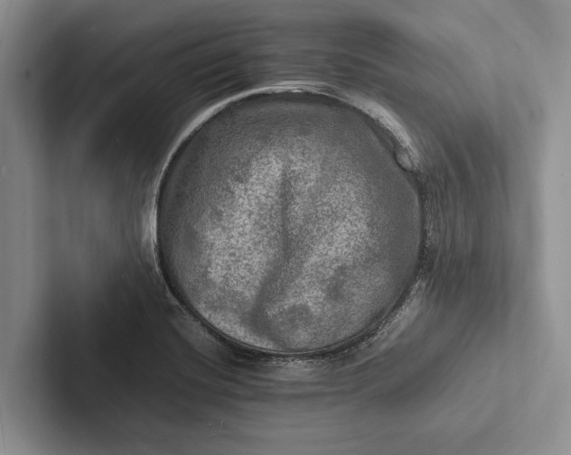X0000103251420200809111606