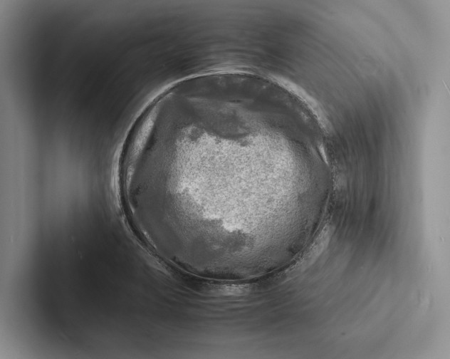 X0000103251423200809111606