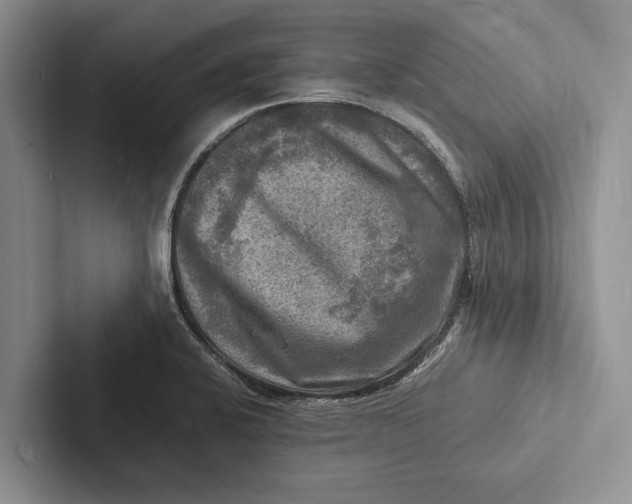 X0000103251424200809111606