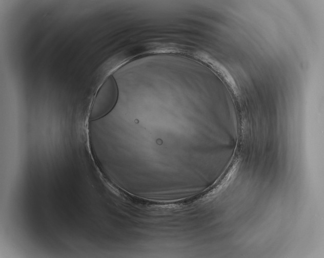X0000103251425200809111606