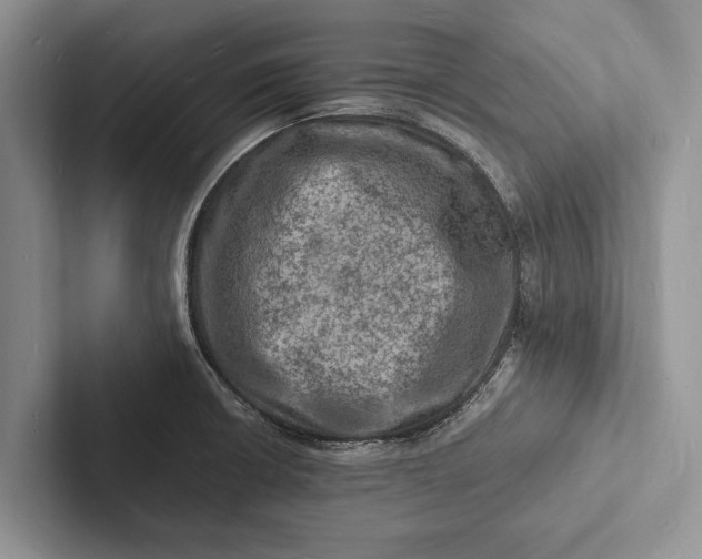 X0000103251426200809111606