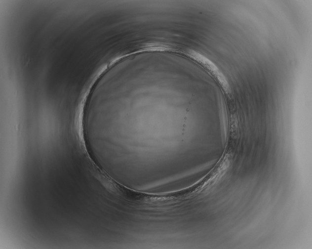 X0000103251427200809111606