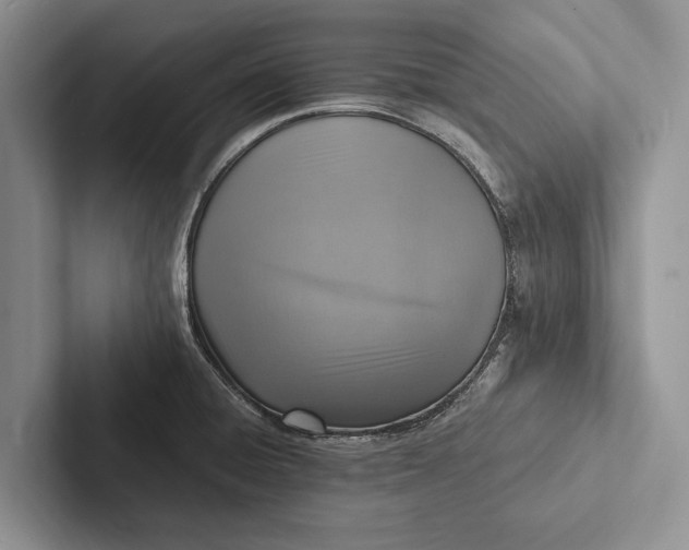 X0000103251428200809111606