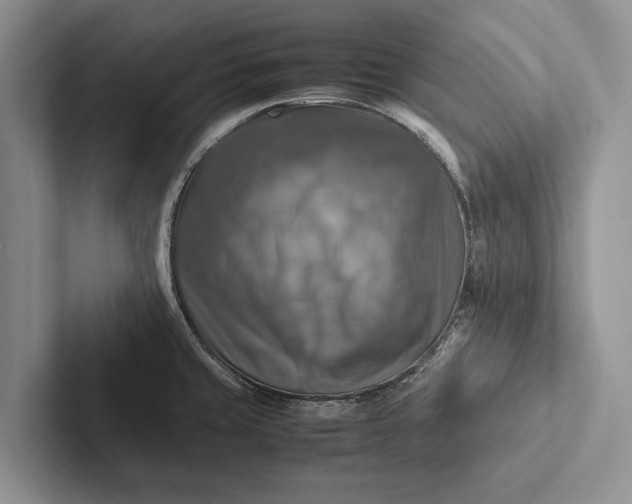X0000103251429200809111606