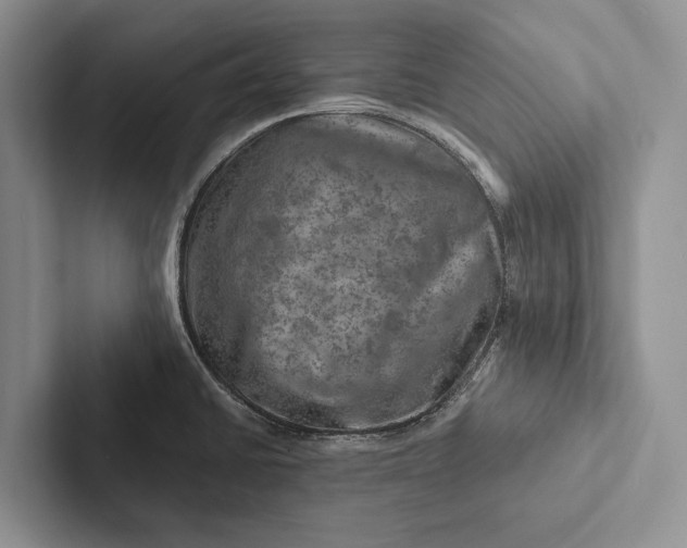 X0000103251430200809111606