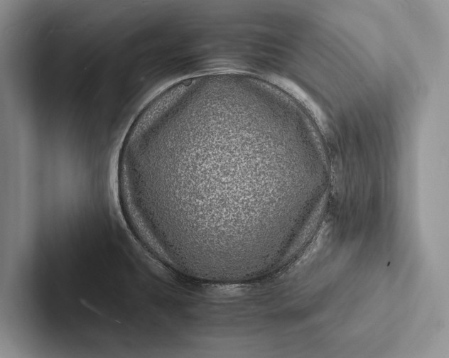 X0000103251431200809111606