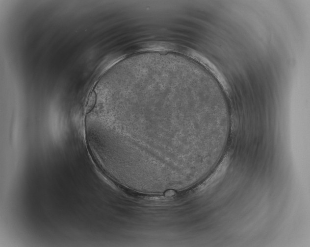 X0000103251433200809111606