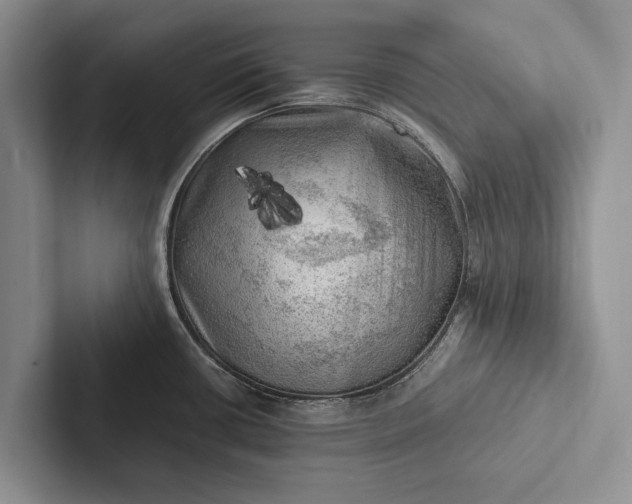 X0000103251434200809111606
