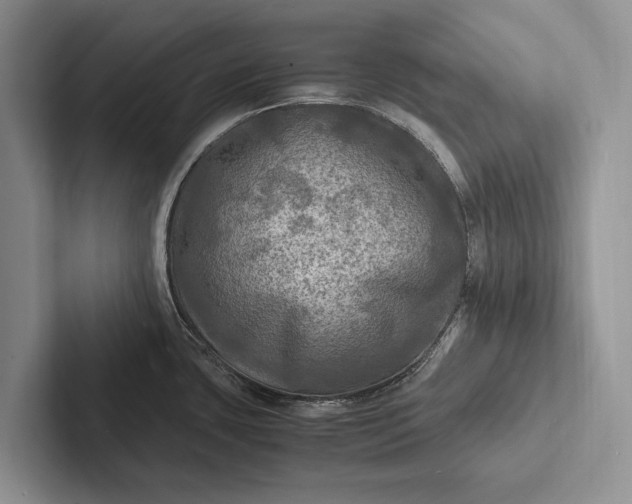 X0000103251435200809111606