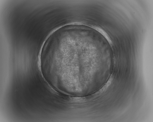X0000103251436200809111606