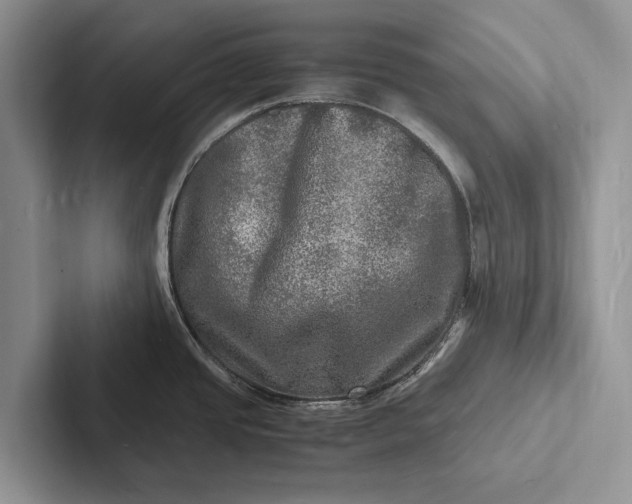 X0000103251437200809111606