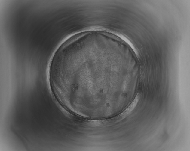 X0000103251438200809111606