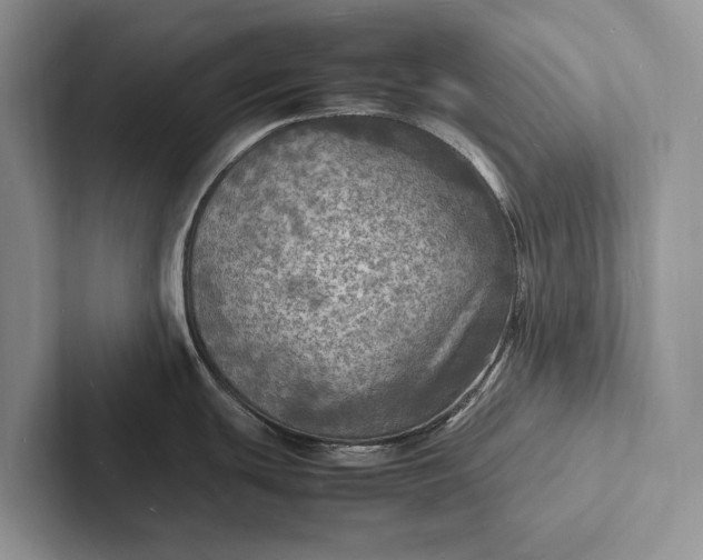 X0000103251439200809111606