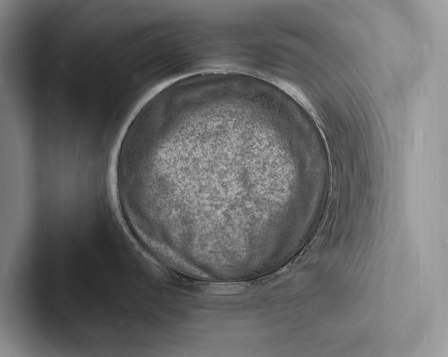 X0000103251440200809111606