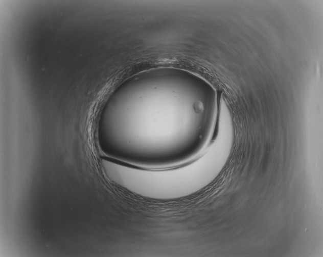 X0000103251441200809111605