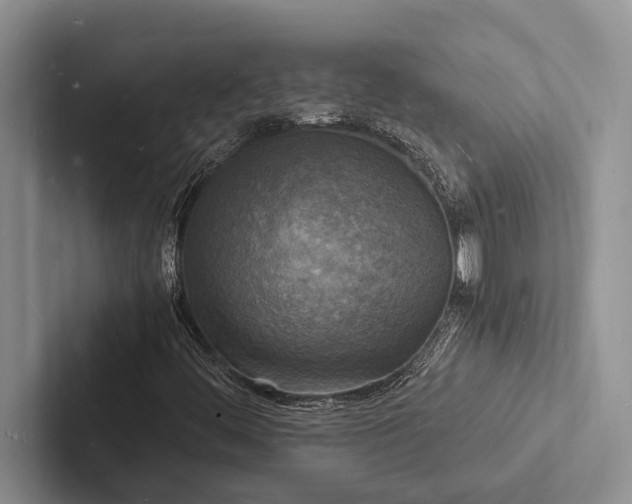 X0000103251444200809111605