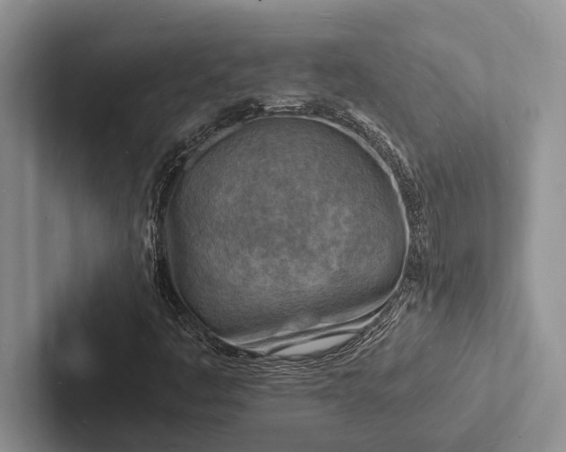 X0000103251445200809111605