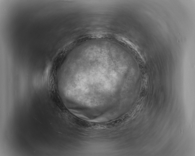 X0000103251446200809111605