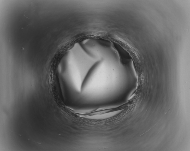 X0000103251447200809111605
