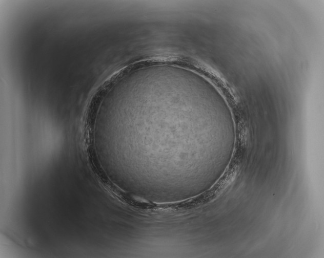 X0000103251448200809111605