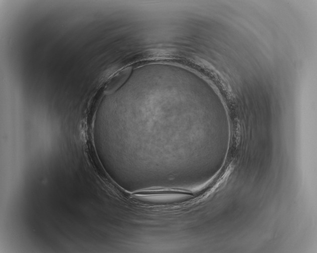 X0000103251449200809111605