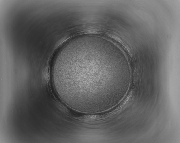 X0000103251450200809111605
