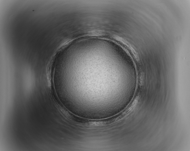 X0000103251451200809111605
