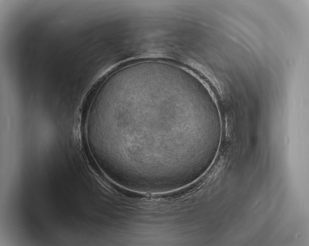 X0000103251452200809111605