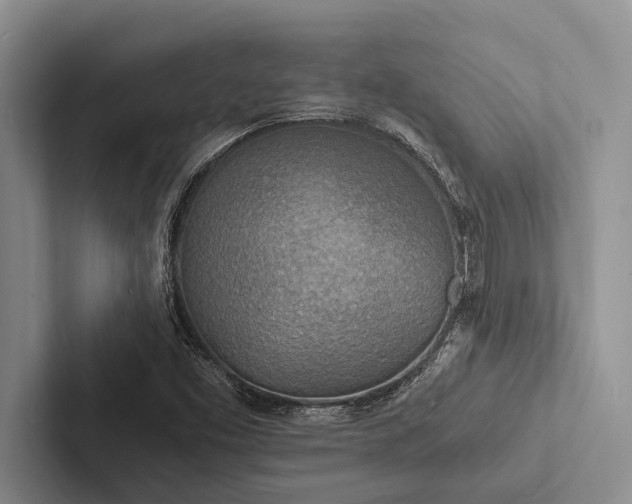 X0000103251453200809111605