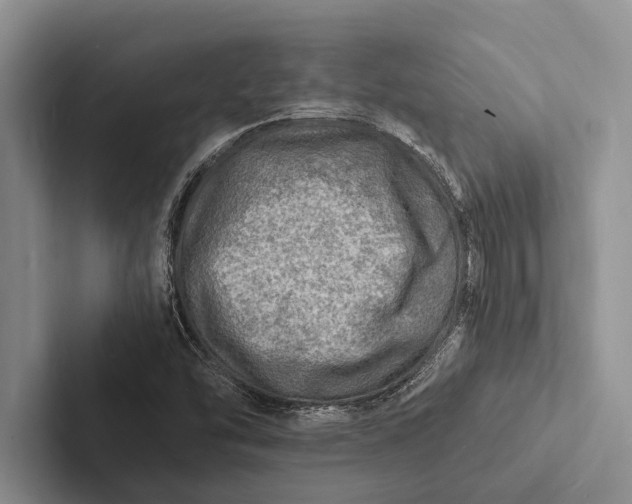 X0000103251454200809111605