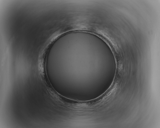 X0000103251455200809111605
